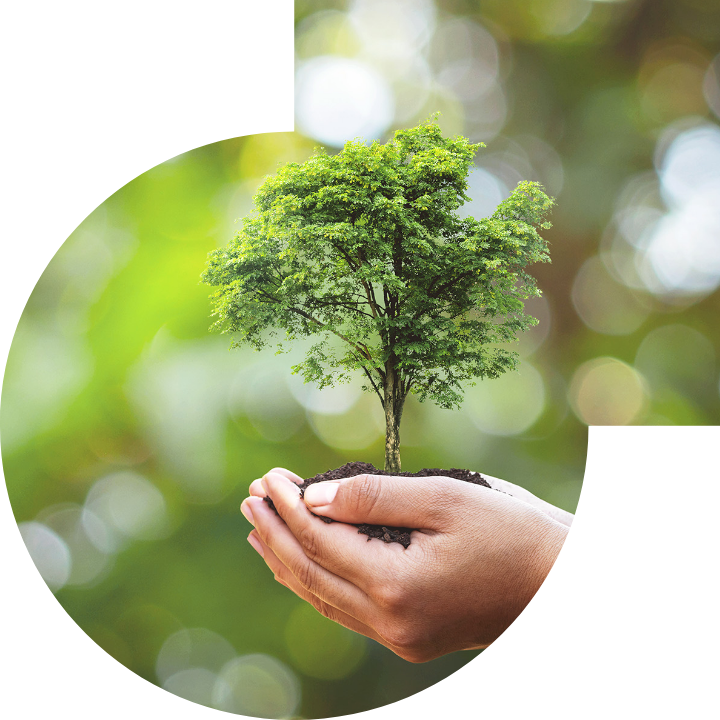 关怀人类、文化、环境与社会